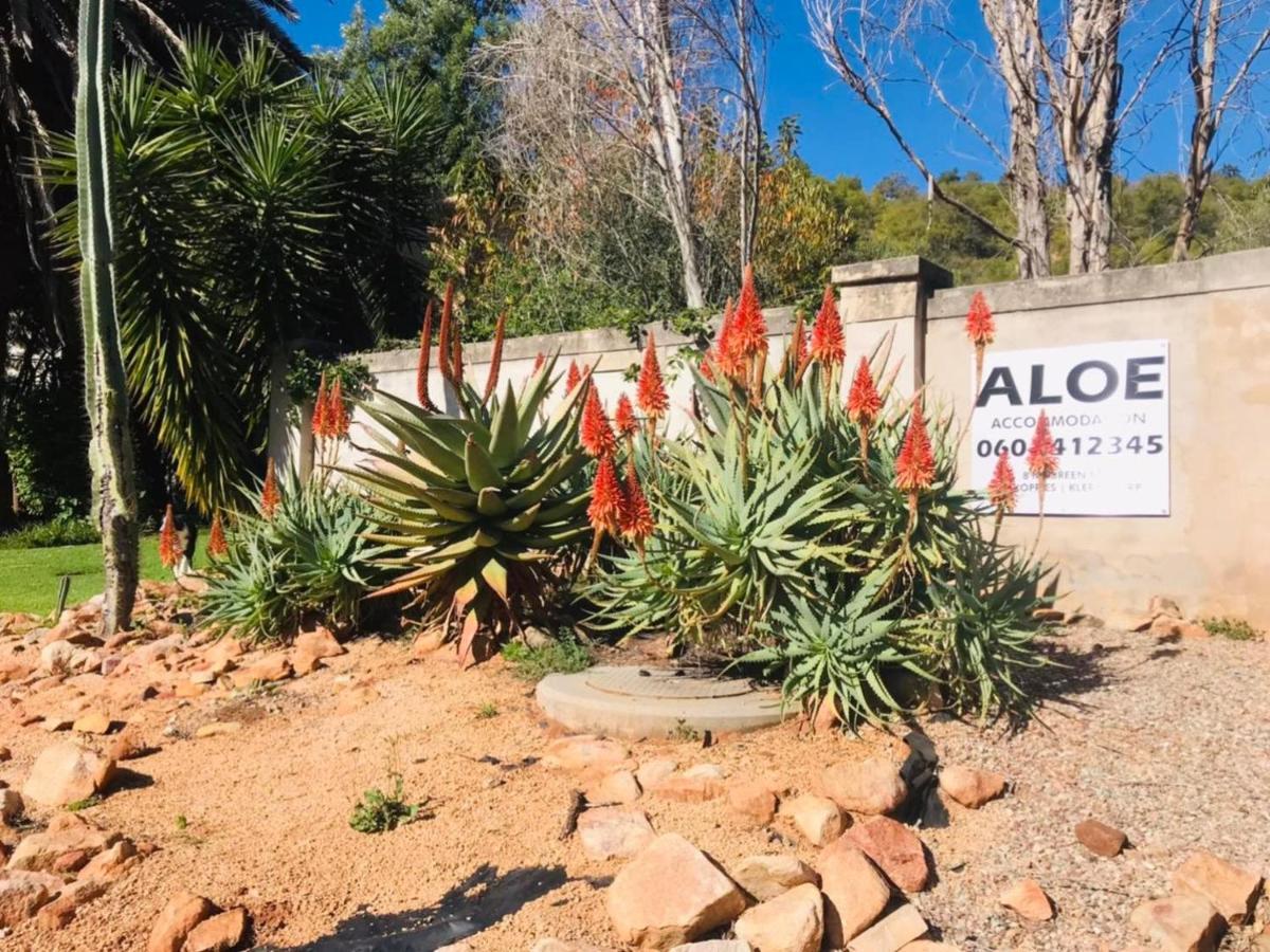Aloe Klerksdorp Bed and Breakfast Buitenkant foto