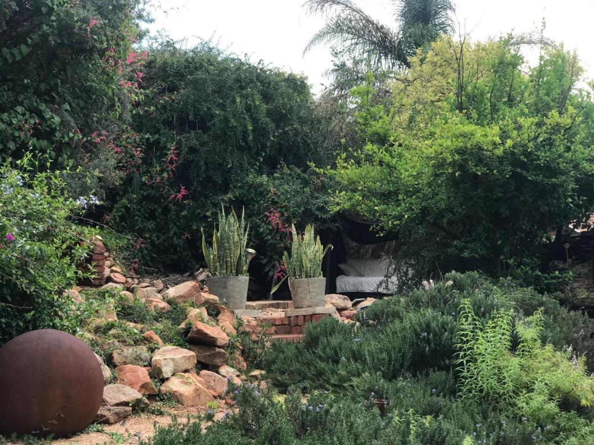 Aloe Klerksdorp Bed and Breakfast Buitenkant foto