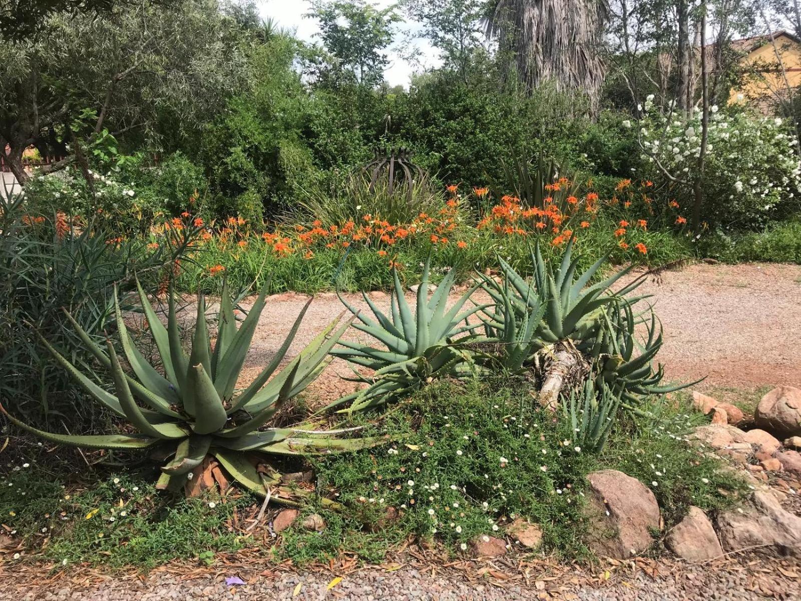 Aloe Klerksdorp Bed and Breakfast Buitenkant foto