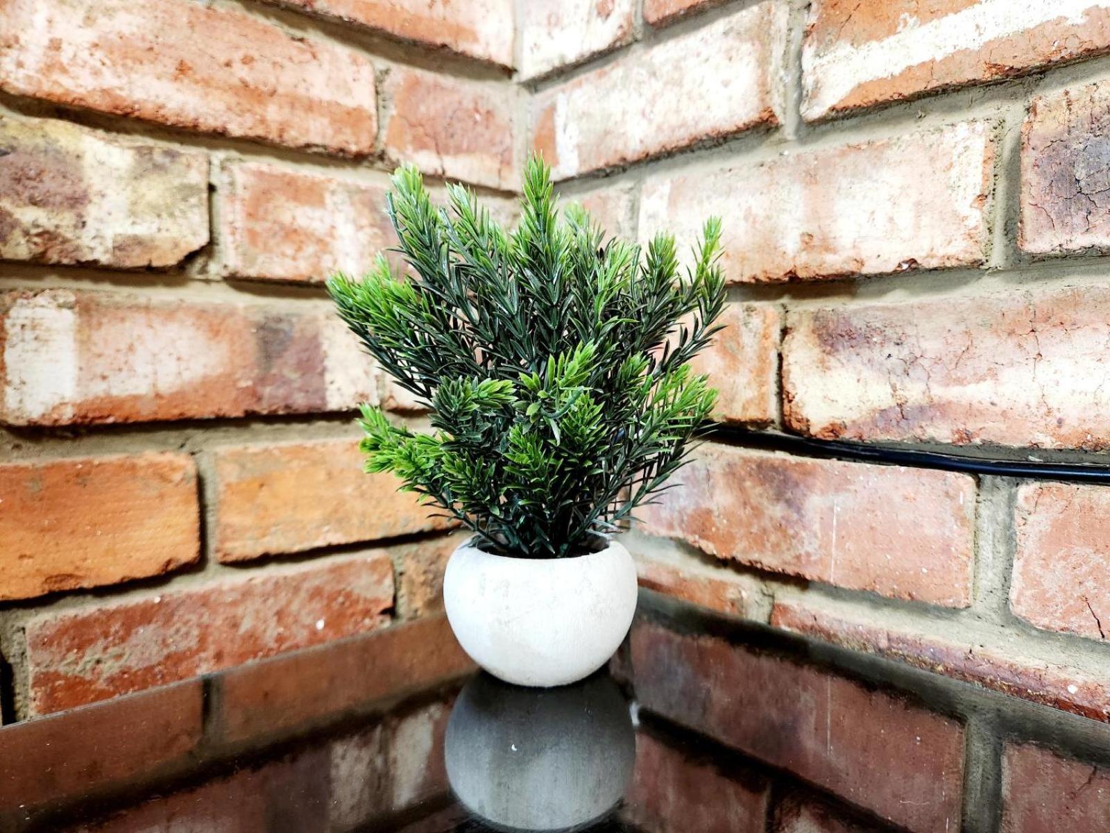 Aloe Klerksdorp Bed and Breakfast Kamer foto