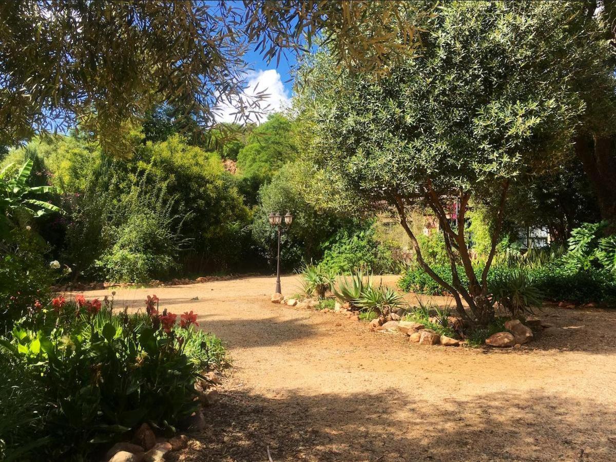 Aloe Klerksdorp Bed and Breakfast Buitenkant foto